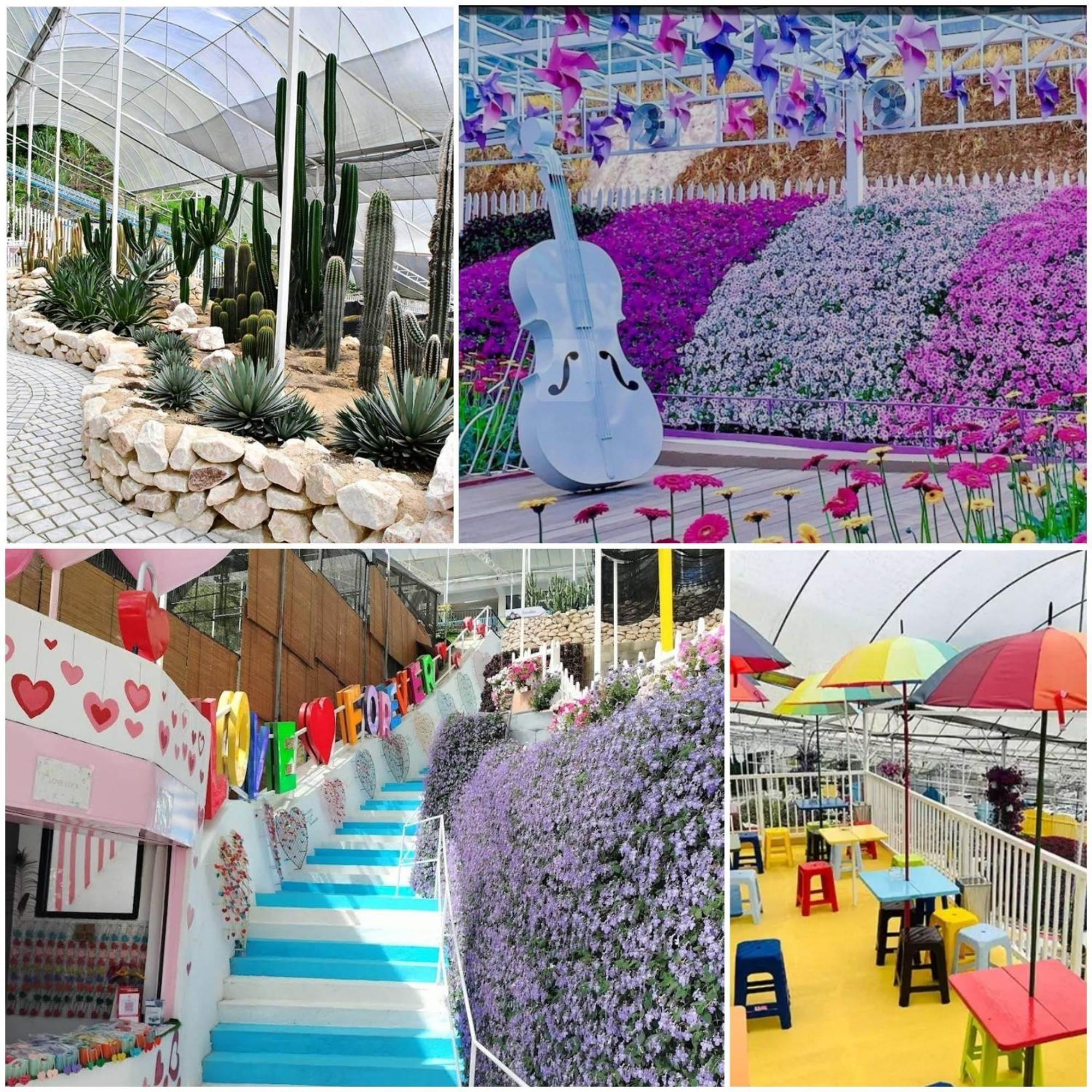 Keafarm Highland Breeze Apartment Brinchang